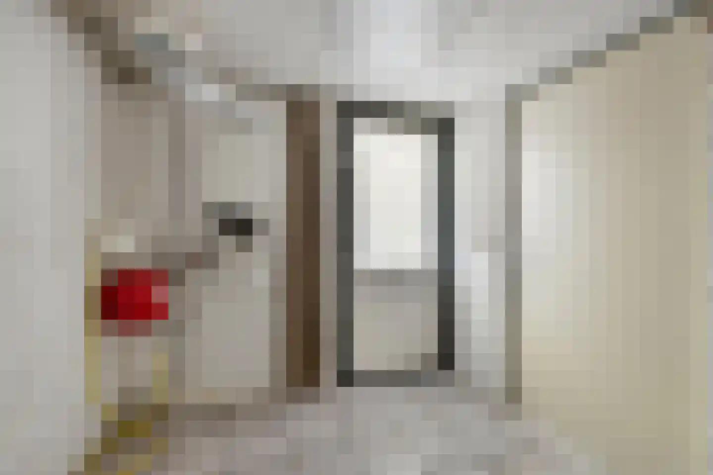 Schoorswinkel 57 Gemert thumbnail 38