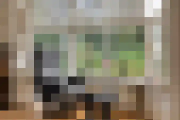 Schoorswinkel 66 Gemert thumbnail 18
