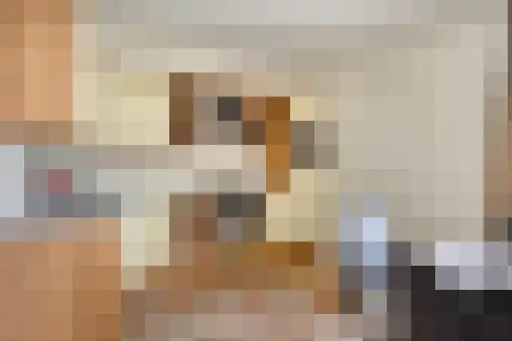 Schoorswinkel 66 Gemert thumbnail 20