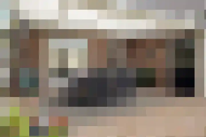 Schoorswinkel 66 Gemert thumbnail 39
