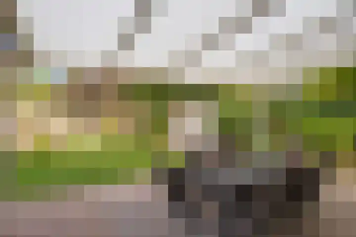 Schoorswinkel 66 Gemert thumbnail 42