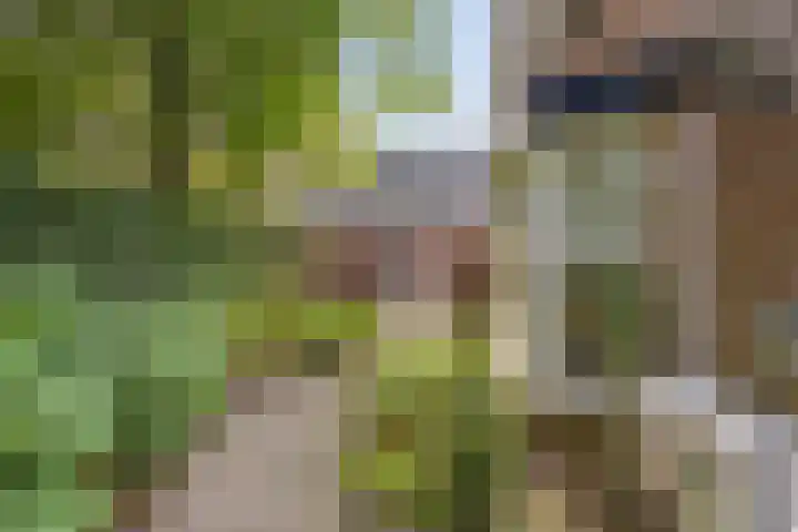 Schoorswinkel 66 Gemert thumbnail 43