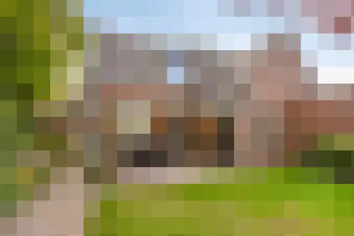 Schoorswinkel 66 Gemert thumbnail 5