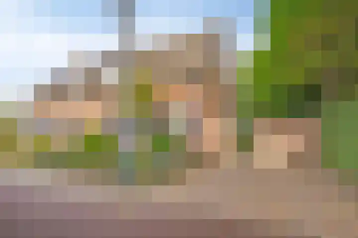 Schoorswinkel 66 Gemert thumbnail 6