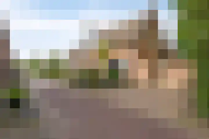Schoorswinkel 66 Gemert thumbnail 8