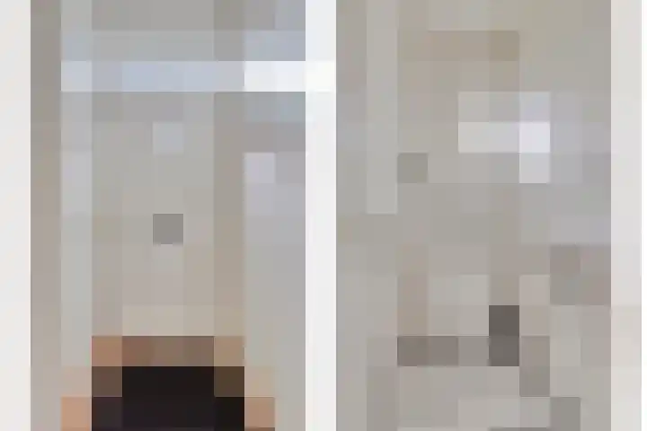 Schoorswinkel 66 Gemert thumbnail 9