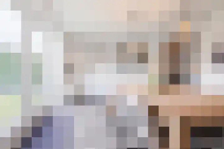 Schoorswinkel 67 Gemert thumbnail 13