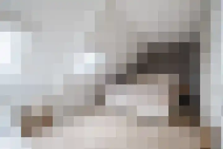 Schoorswinkel 67 Gemert thumbnail 22