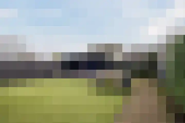 Schoorswinkel 67 Gemert thumbnail 5
