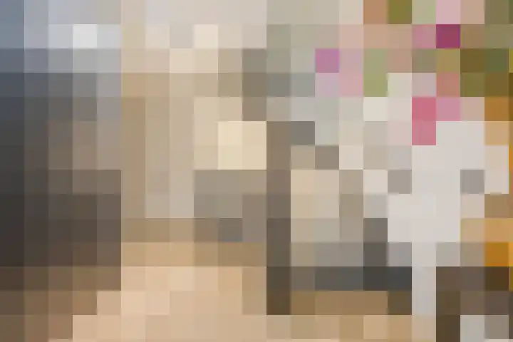 Schoorswinkel 79 Gemert thumbnail 11