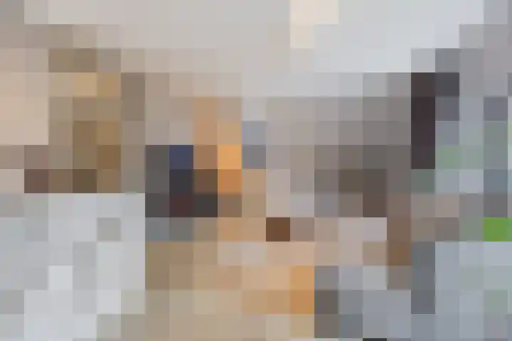 Schoorswinkel 79 Gemert thumbnail 13