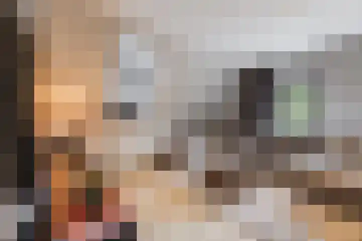 Schoorswinkel 79 Gemert thumbnail 14