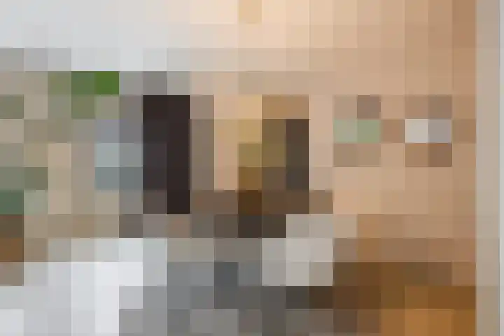 Schoorswinkel 79 Gemert thumbnail 16
