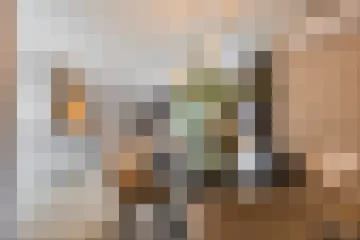 Schoorswinkel 79 Gemert thumbnail 17