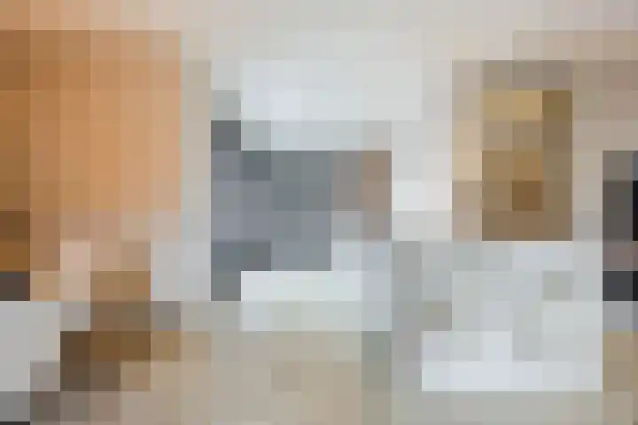 Schoorswinkel 79 Gemert thumbnail 18