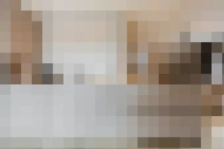 Schoorswinkel 79 Gemert thumbnail 19
