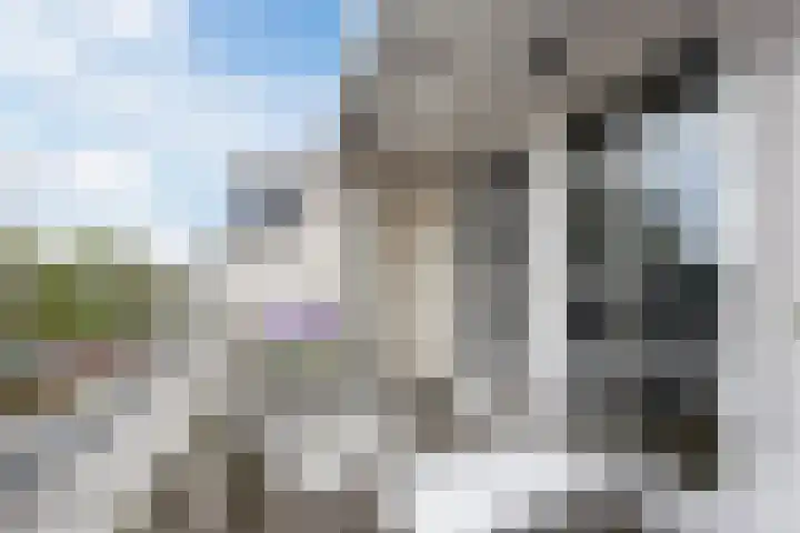 Schoorswinkel 79 Gemert thumbnail 21