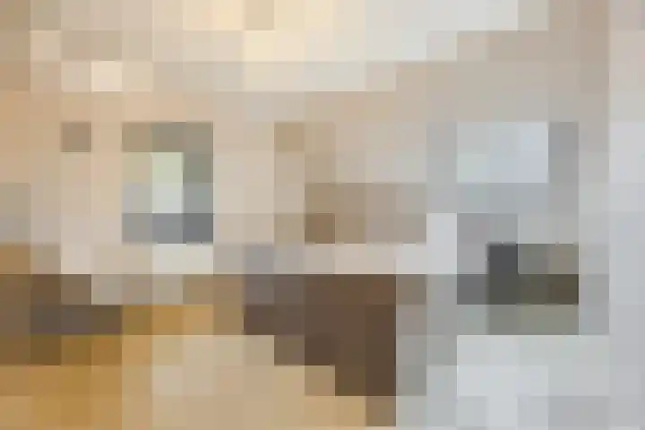 Schoorswinkel 79 Gemert thumbnail 23