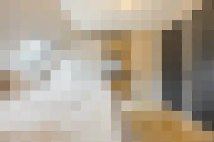 Schoorswinkel 79 Gemert thumbnail 24
