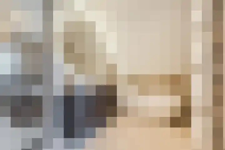 Schoorswinkel 79 Gemert thumbnail 25