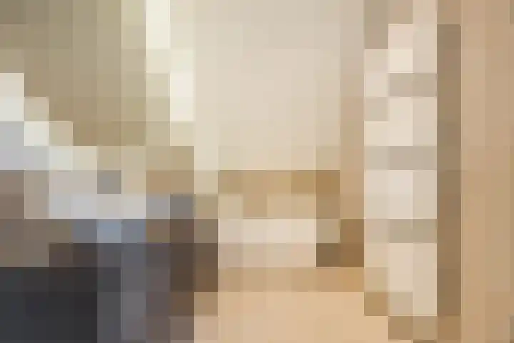 Schoorswinkel 79 Gemert thumbnail 26
