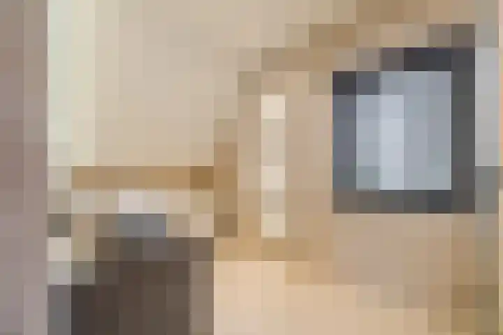 Schoorswinkel 79 Gemert thumbnail 27