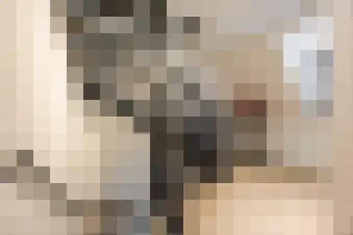 Schoorswinkel 79 Gemert thumbnail 29
