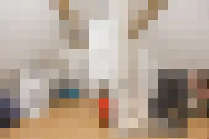 Schoorswinkel 79 Gemert thumbnail 30