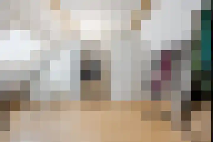 Schoorswinkel 79 Gemert thumbnail 33