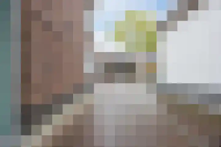 Schoorswinkel 79 Gemert thumbnail 36