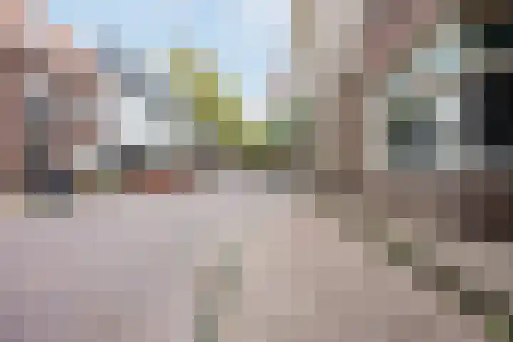 Schoorswinkel 79 Gemert thumbnail 37