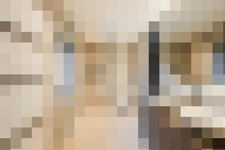 Schoorswinkel 79 Gemert thumbnail 5