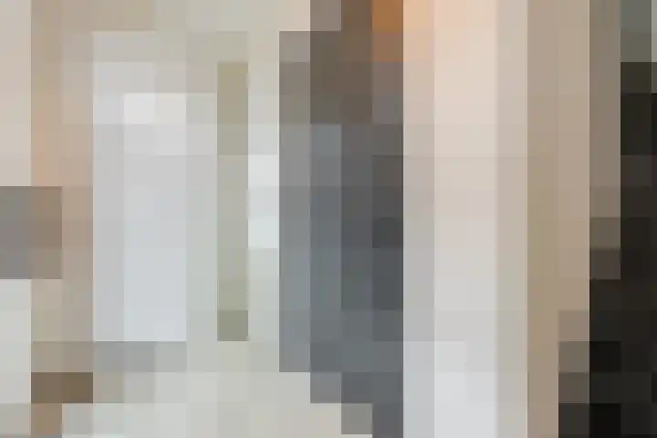 Schoorswinkel 79 Gemert thumbnail 7