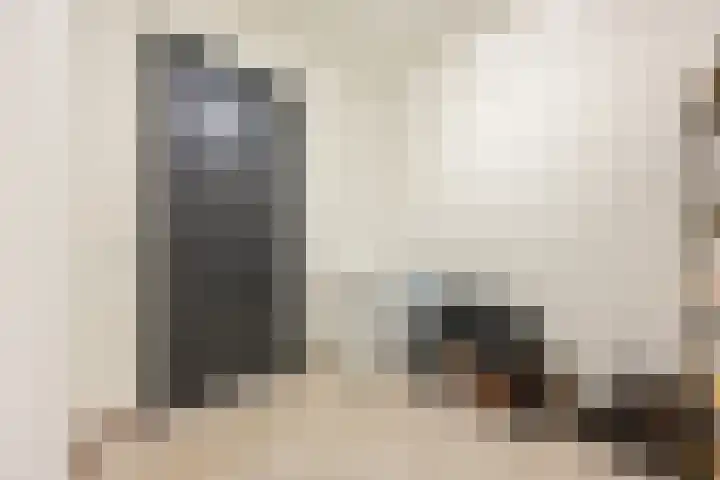 Schoorswinkel 79 Gemert thumbnail 9