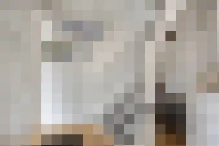 Schoorswinkel 8 Gemert thumbnail 13