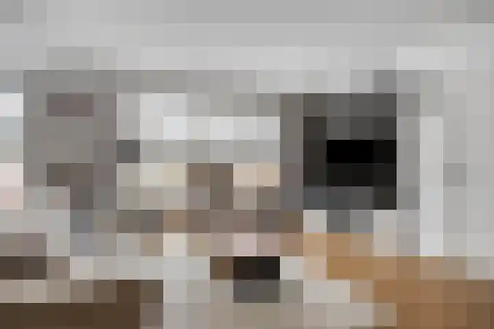 Schoorswinkel 8 Gemert thumbnail 16