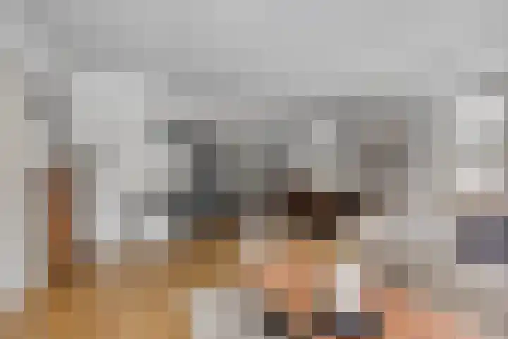 Schoorswinkel 8 Gemert thumbnail 17