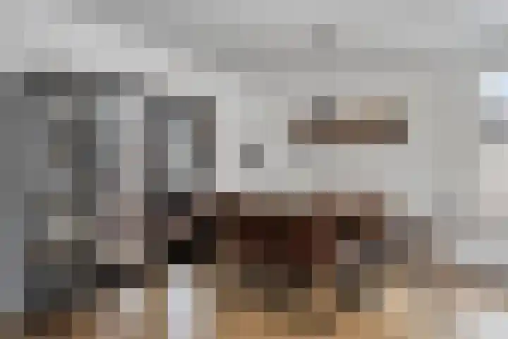 Schoorswinkel 8 Gemert thumbnail 18