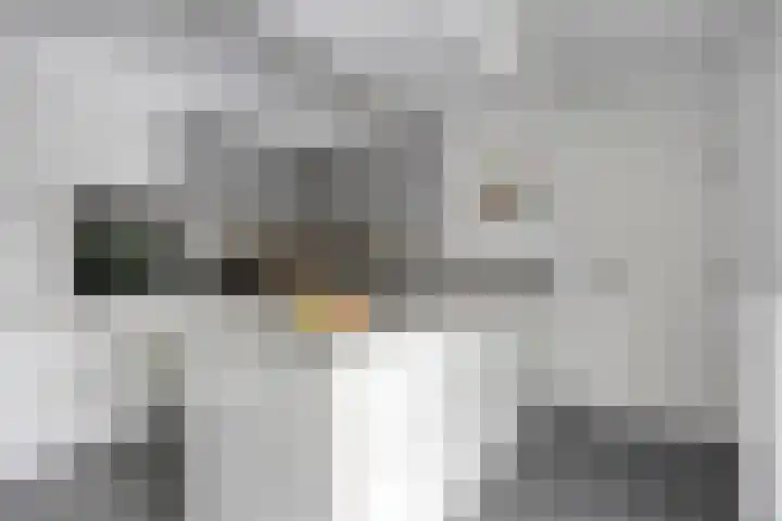Schoorswinkel 8 Gemert thumbnail 22