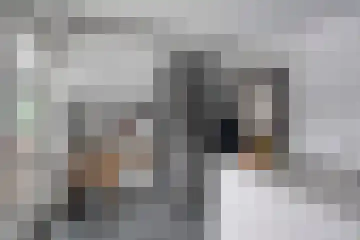 Schoorswinkel 8 Gemert thumbnail 23