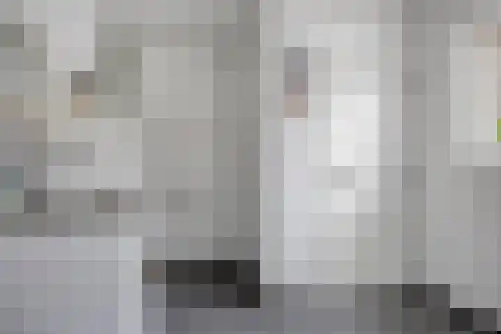 Schoorswinkel 8 Gemert thumbnail 25