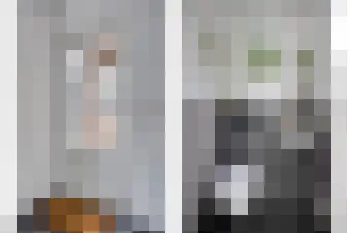 Schoorswinkel 8 Gemert thumbnail 26