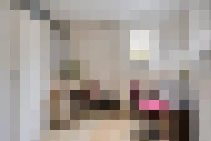Schoorswinkel 8 Gemert thumbnail 27