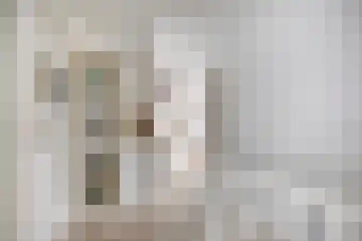 Schoorswinkel 8 Gemert thumbnail 28