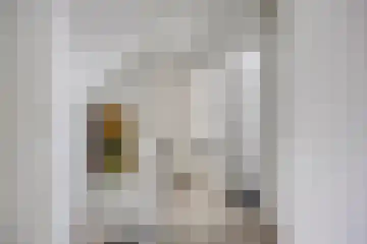 Schoorswinkel 8 Gemert thumbnail 29