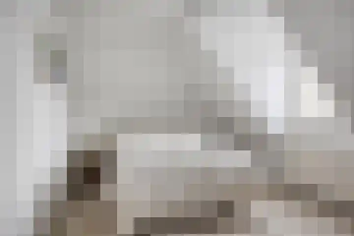 Schoorswinkel 8 Gemert thumbnail 33