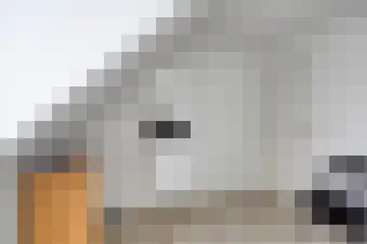 Schoorswinkel 8 Gemert thumbnail 34