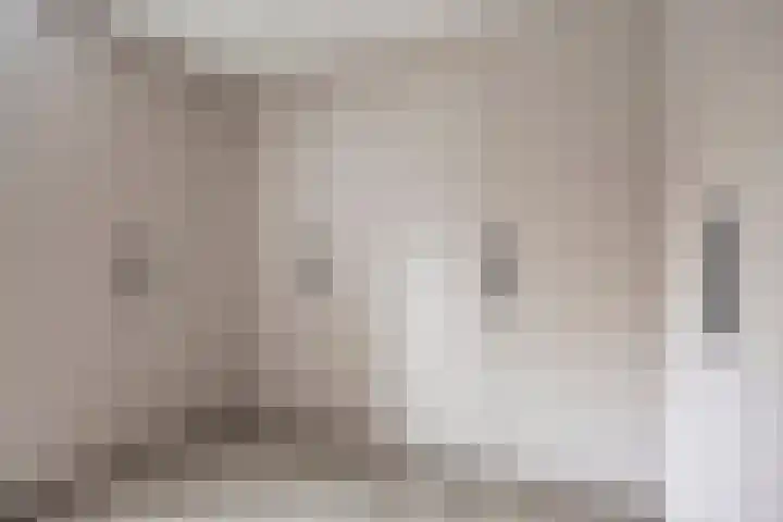 Schoorswinkel 8 Gemert thumbnail 36