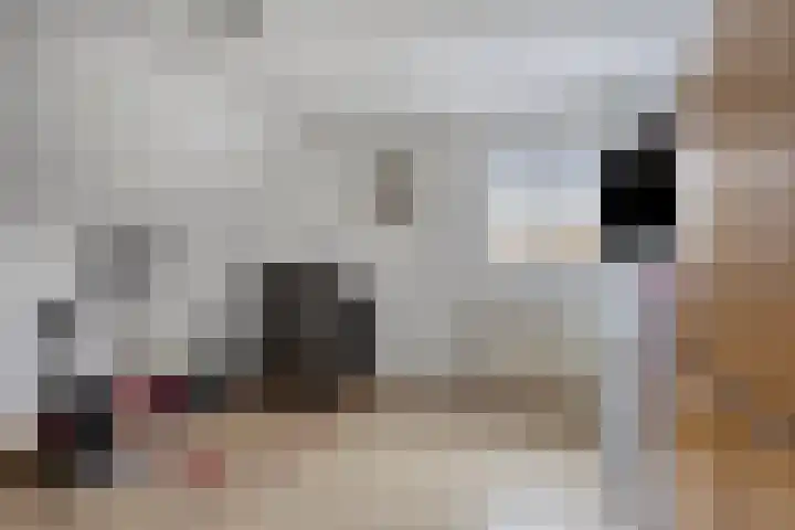 Schoorswinkel 8 Gemert thumbnail 38