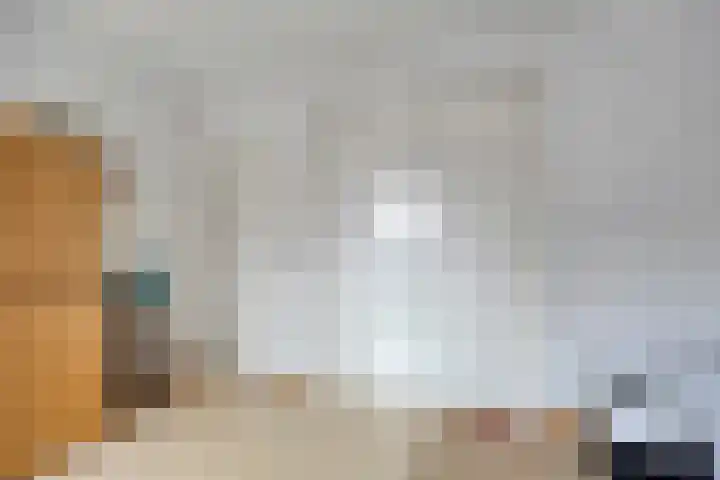 Schoorswinkel 8 Gemert thumbnail 39